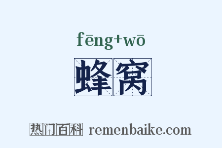 蜂窝是什么意思的图片